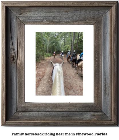 family horseback riding near me in Pinewood, Florida